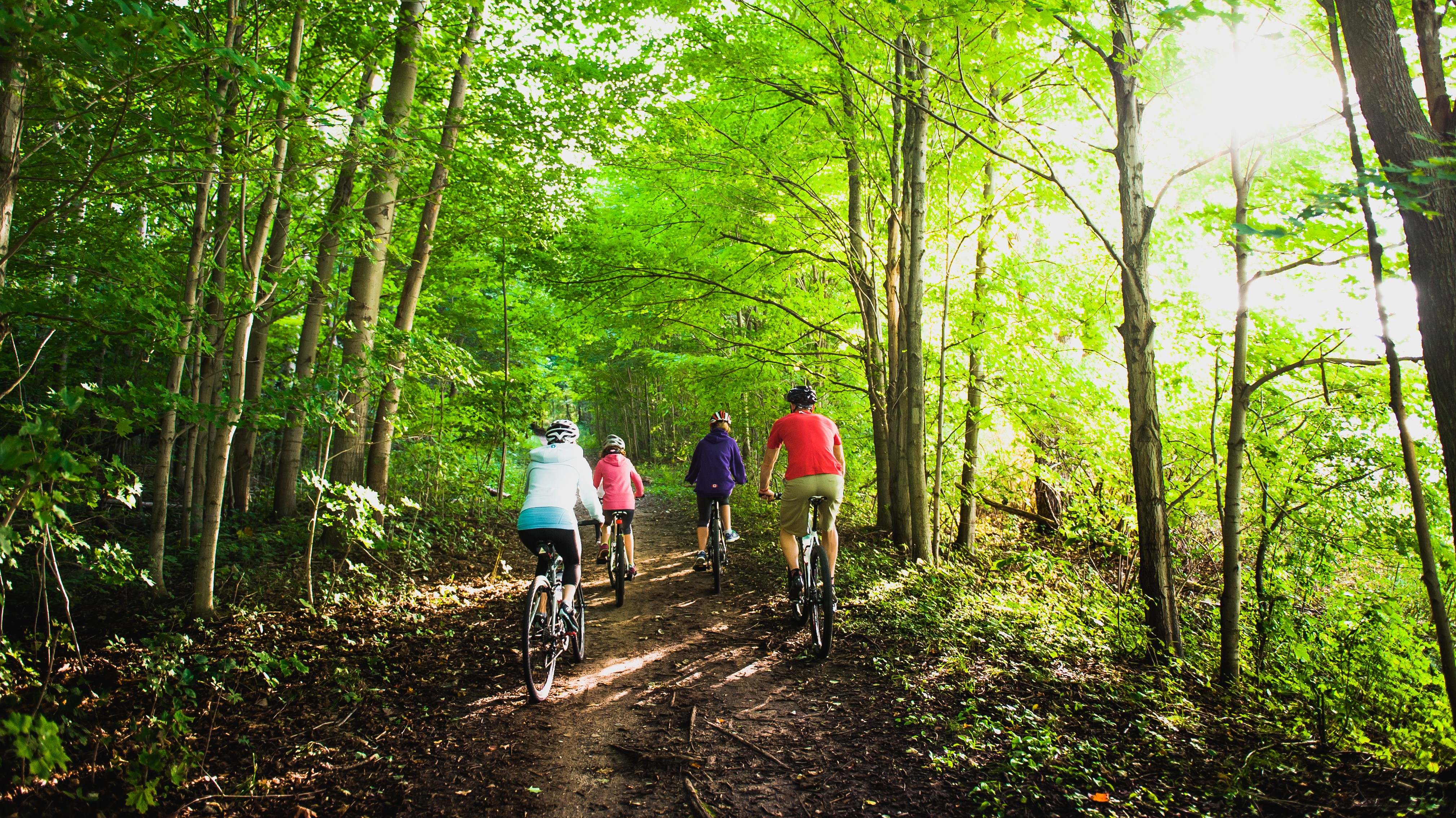 Family of four riding bikes along a trail surrounded by green trees