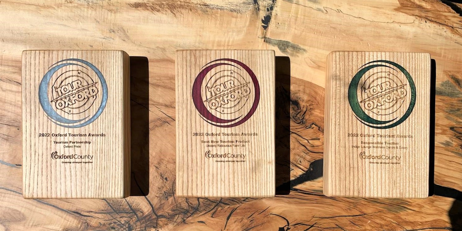 Close up photo of all three tourism awards; Tourism Partnership, Best New Tourism Product and Responsible Tourism. Awards are wooden plaques with a resin circle surrounding the Tour Oxford logo.