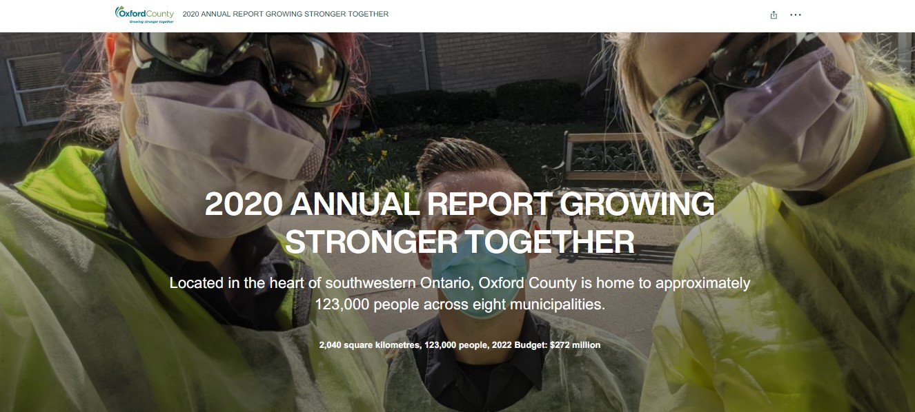 annual report screen shot from cover