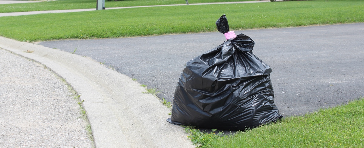 garbage bag on side of driveway