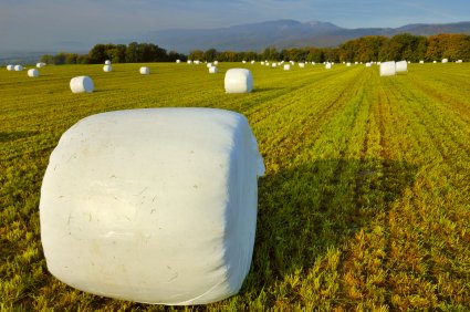 bales wrapped up in a field